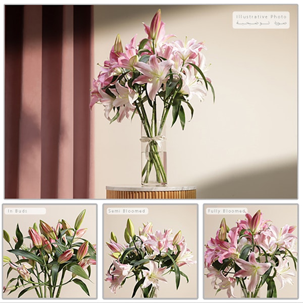 Ethereal White Lily Elegance Bouquet | 8 Flowers