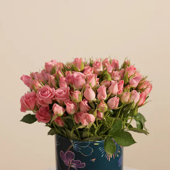 Soft Pink Baby Rose Box | 25 Flowers
