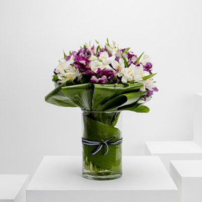 Alstroemeria | Cylinder Vase