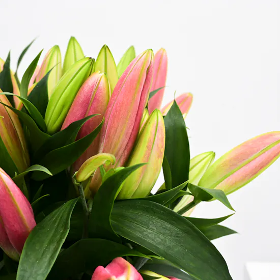 Pink Lilies | Black Vase