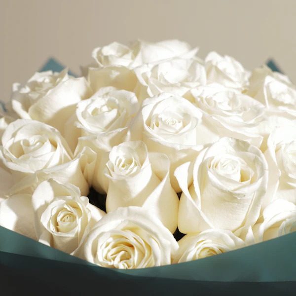 Elegant White Roses Bouquet | 50 Roses