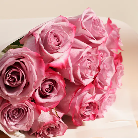 Plush Purple Roses Bouquet | 12 Roses