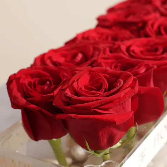 Romantic Red Roses | Flowers Acrylic Vase