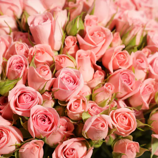 Royal Pink Rose Vase