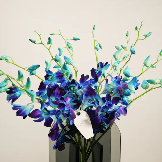 Morning Mist Blue Baby Orchid Vase