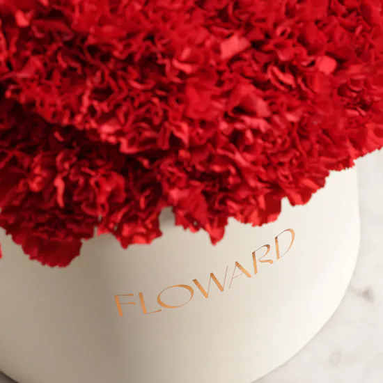 Emotional Red Carnation Box | 75 Flowers