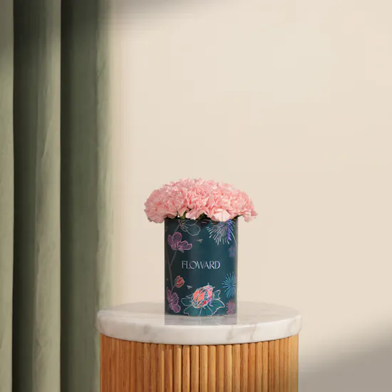 Soft Pink Carnation Box | 25 Flowers