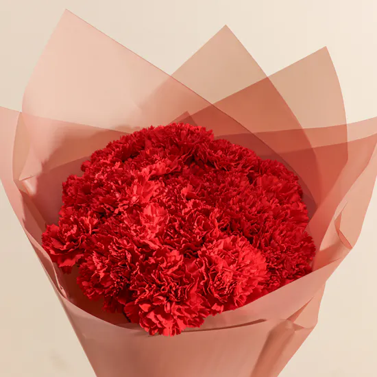Red Carnation Blooming Bouquet | 20 Flowers