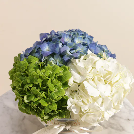 Refreshing Hydrangea Vase