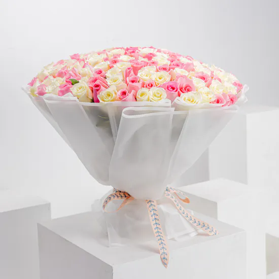 150 White and Revival Rose