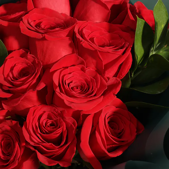 The Language of Love Roses Bouquet | 12 Flowers