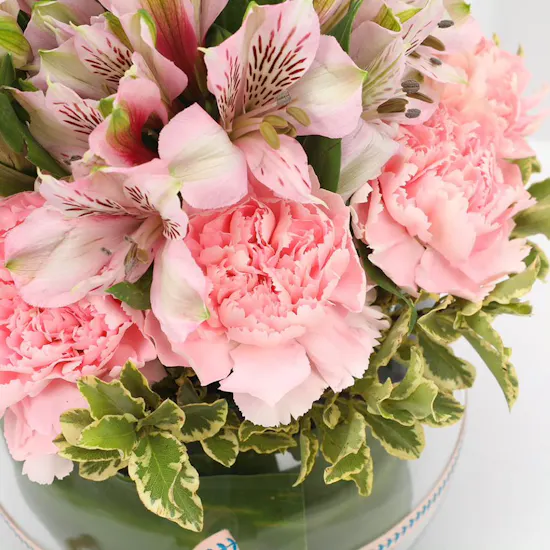 The Pink Floral Fiesta