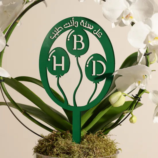 Elegant Birthday Phalaenopsis Plant