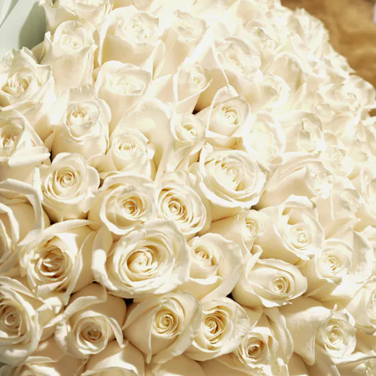 Floward Teddy Bear XL | 200 Roses