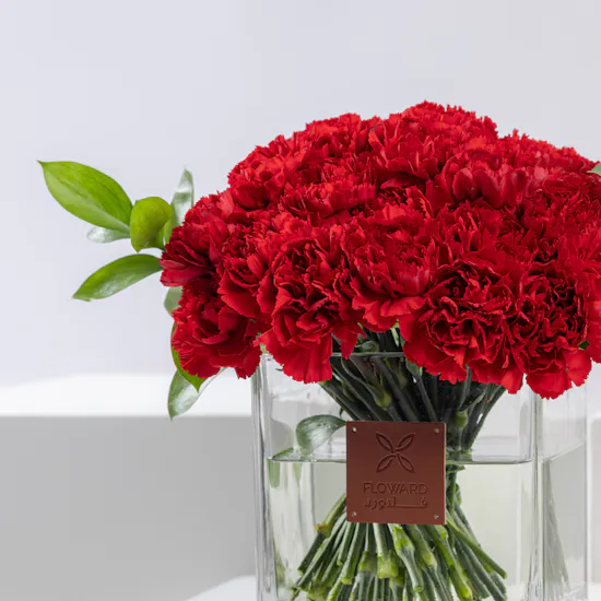 50 Red Carnations | Square Vase