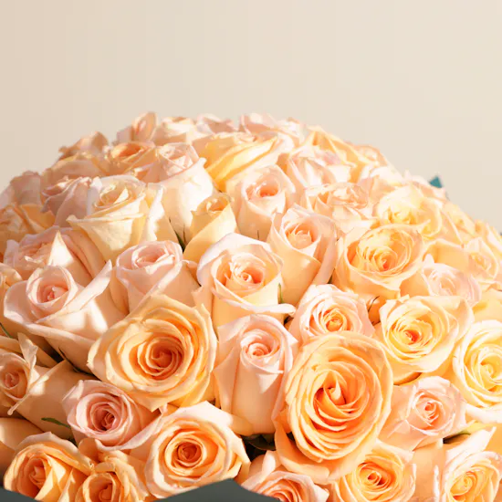 Royal Roses Bouquet | 150 Roses