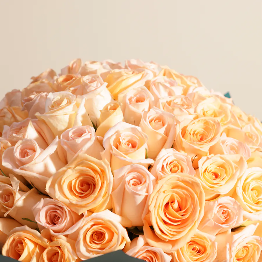 Royal Roses Bouquet | 150 Roses 5