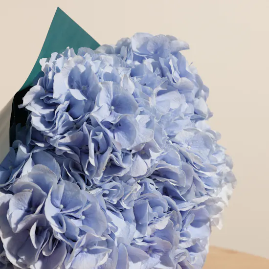 Light Blue Blooms Bouquet