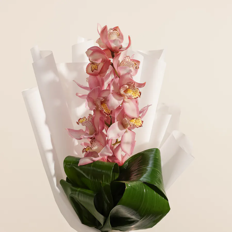 Pink Cymbidium Bouquet 2
