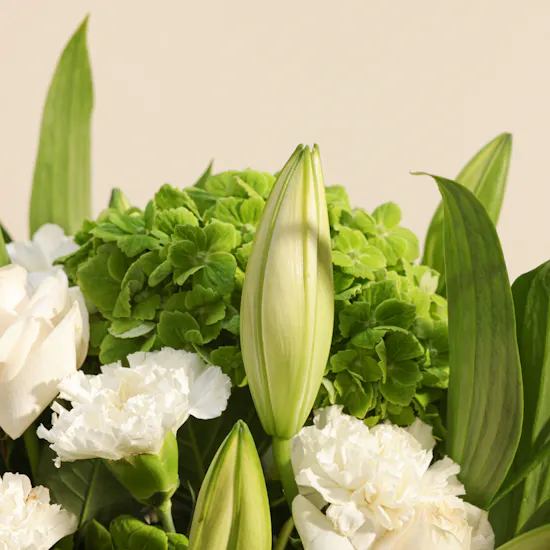 Auto Art Car Economic Protection Package Gift Voucher | Blushing Flowers Vase