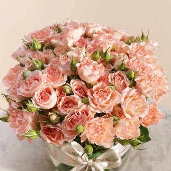 Blush Elegance Baby Roses Vase