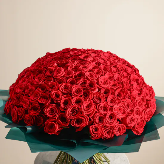 Love Red Flowers Bouquet | 250 Flowers