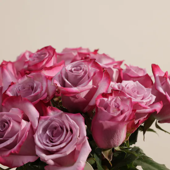 Beauty Glam Purple Roses Vase