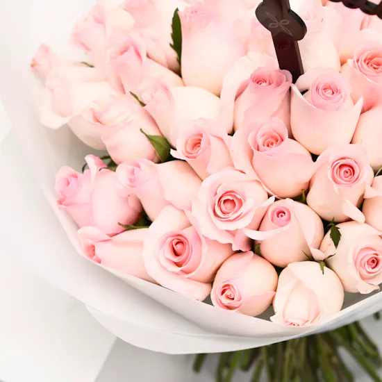 pink roses graduation collection