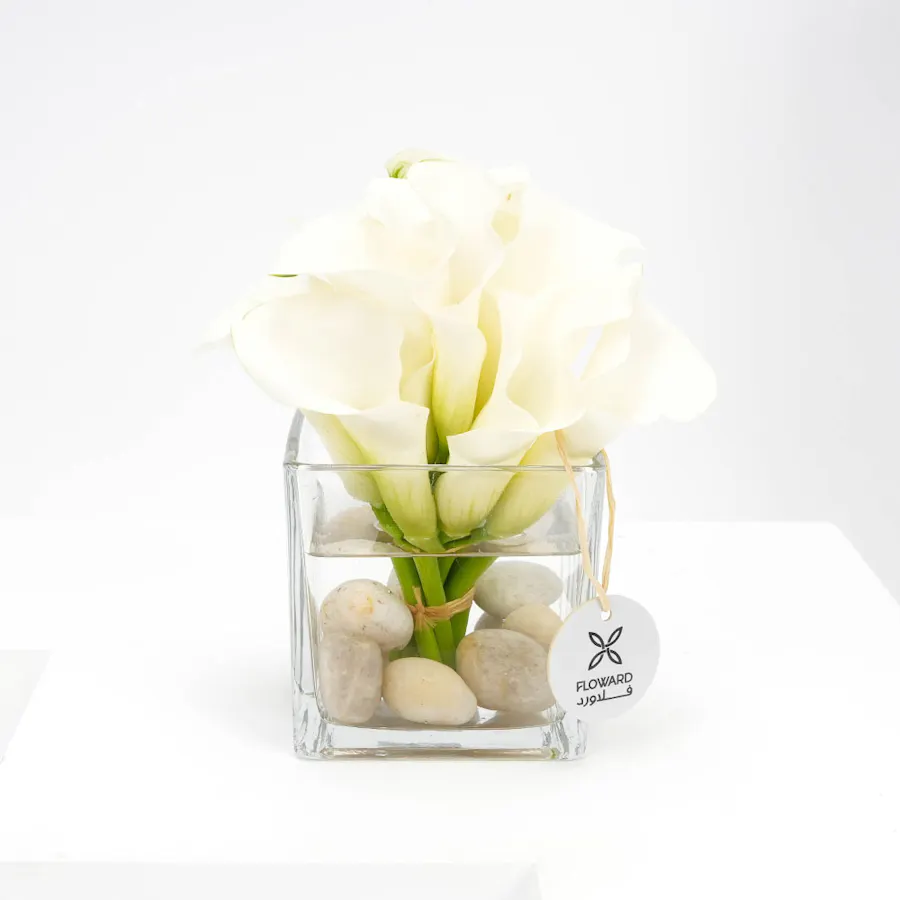 The Purity Vase 2