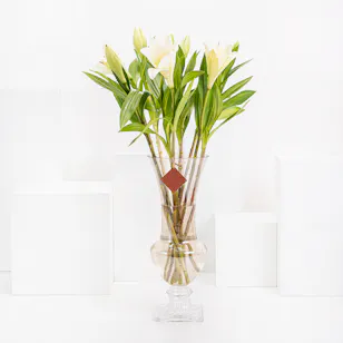 Local White Lily | Glass Vase