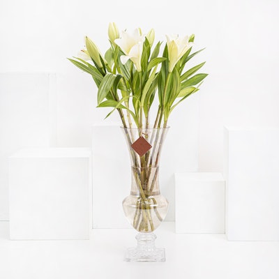 Local White Lily & Glass Vase