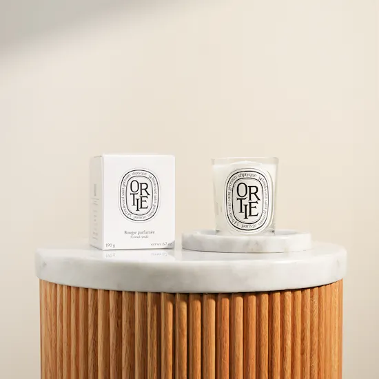 Diptyque Ortie Classic Candle | 190 g