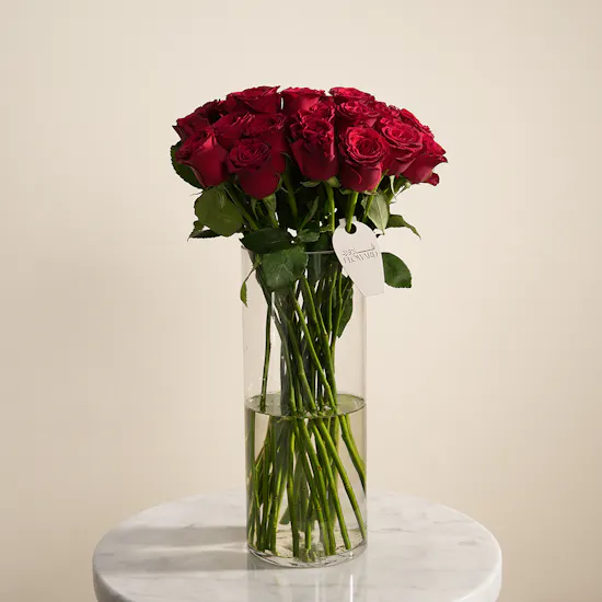 Romantic Roses Vase | 20 Flowers