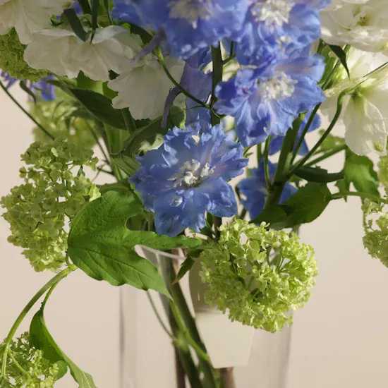 Delphinium Cloud Vase