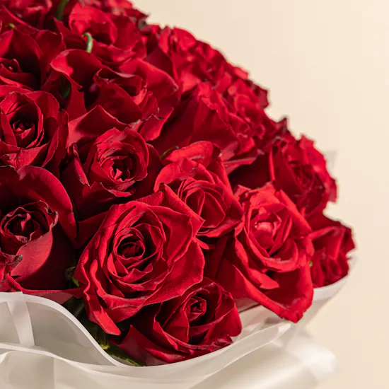 Amazing 100 Red Roses
