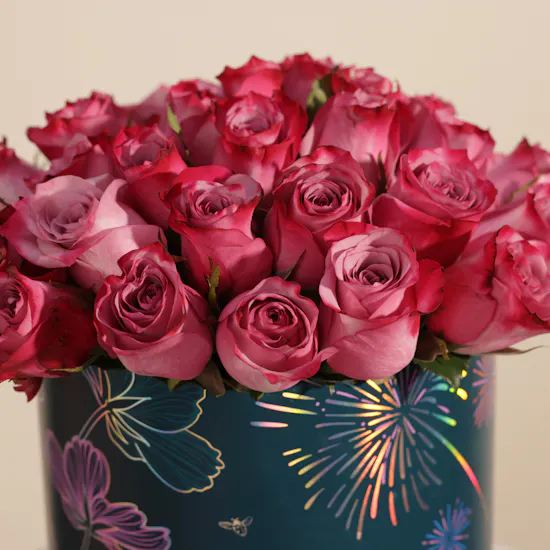 Royal Purple Rose Box | 25 Flowers