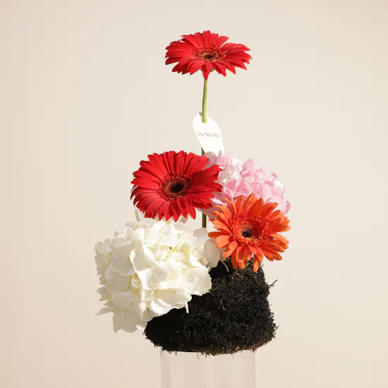 Aani & Dani Pistachio Pudding Cake | Unique Elegance Flowers