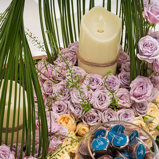 Celebration Boat | Baby Roses