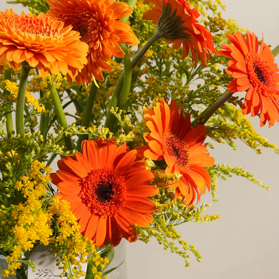 Golden Reverie Gerbera Vase