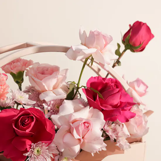 Baby Girl Pink Flower Circle Stand