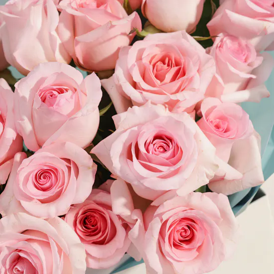 Sweet Blush Rose Bouquet