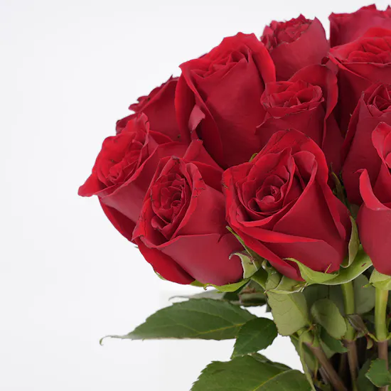 Levo Chocolate | Red Roses
