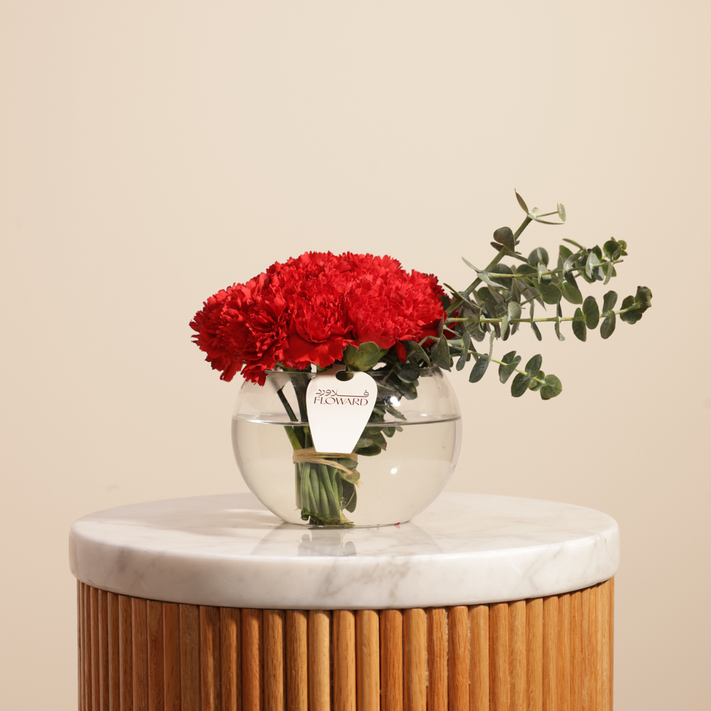 Red Carnation Vase