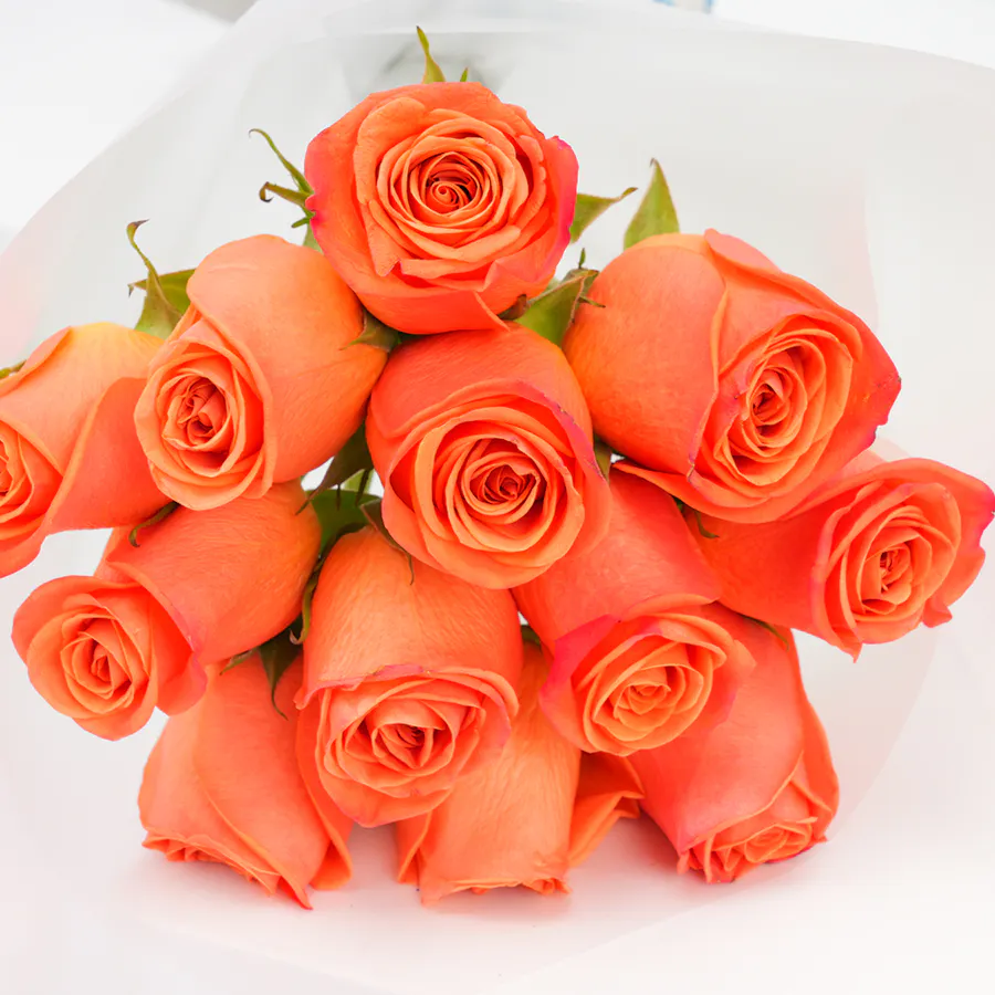 Floward Plush Bear with 12 Orange Roses Bouquet 5