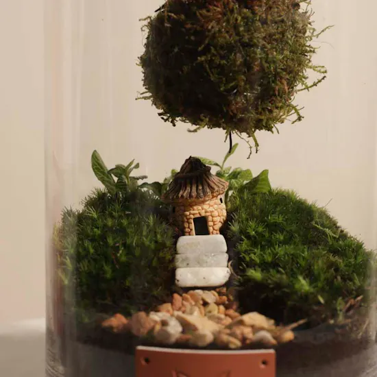 Elegant Terrarium Vase