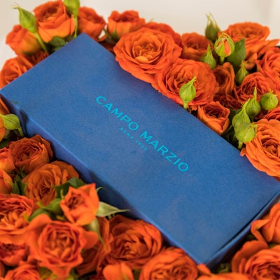 Campo Marzio Box