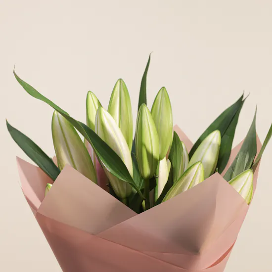 Charbonnel Et Walker Truffles Box | Expression of Love Flowers Bouquet