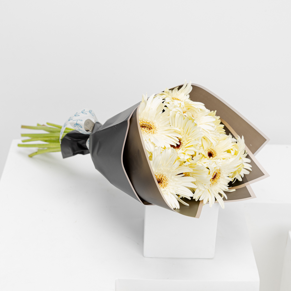 15 جيربيرا | المغلف أسود