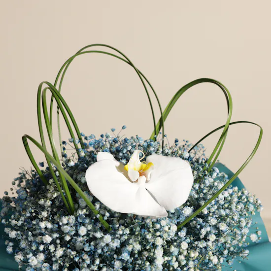 Floward 35 BHD Card | Gentle Flowers