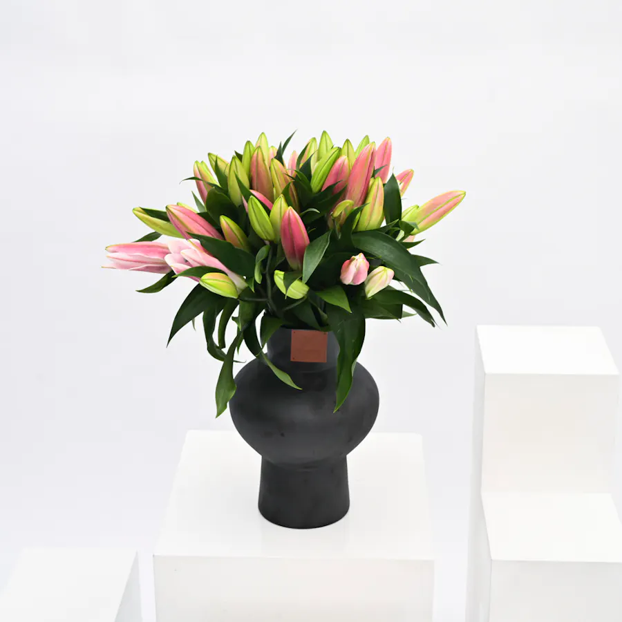 Pink Lilies | Black Vase 1